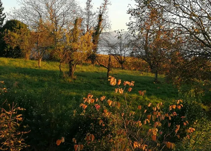 Haus Meersburg Garten