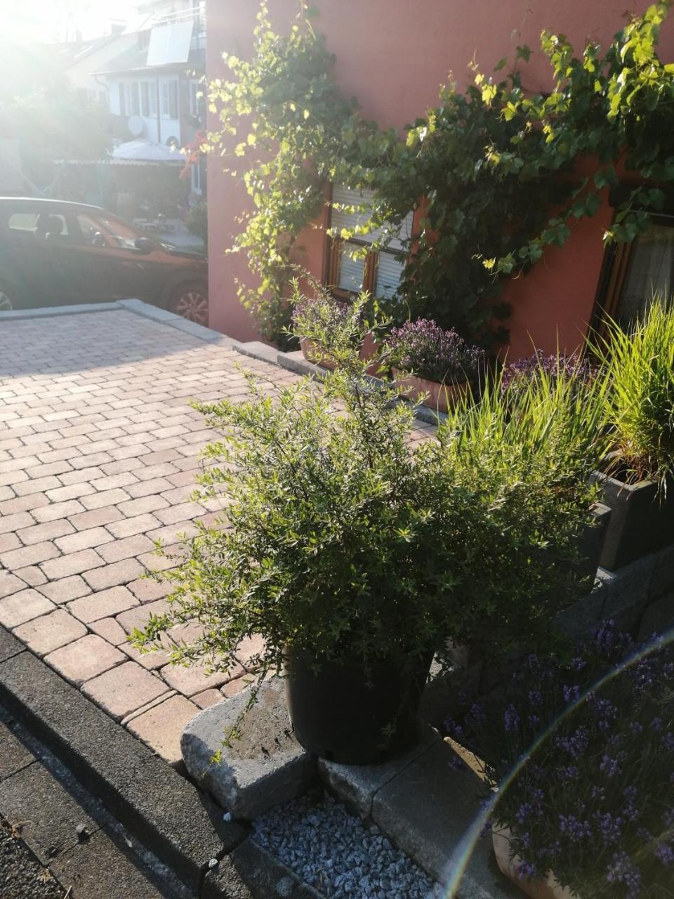 Apartment Haus Garten Meersburg