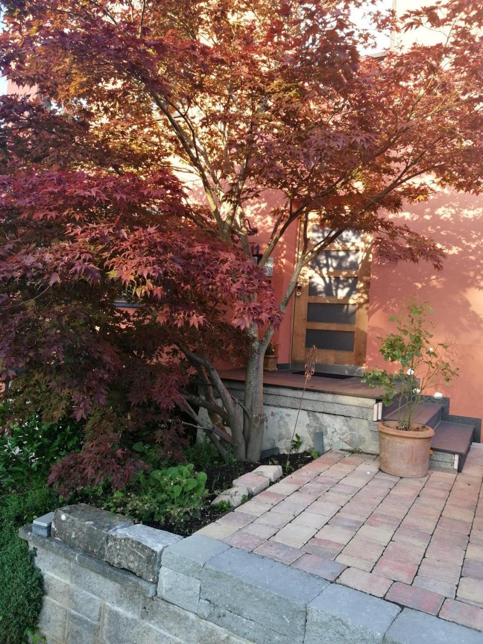 Apartment Haus Garten *