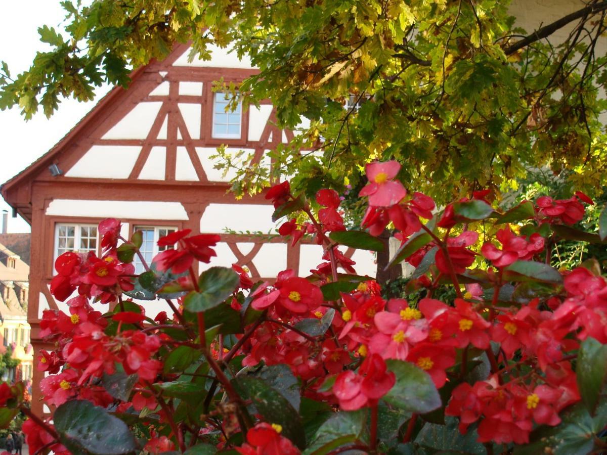 Haus Garten Meersburg